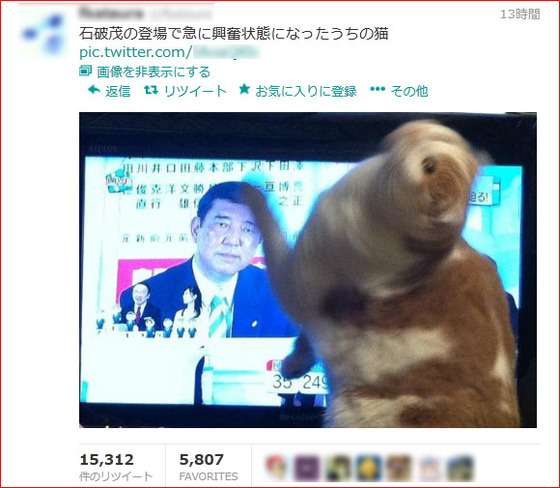 石破茂氏がアップした「ネコ写真」の波紋 「ありえない抱き方だ」との指摘も