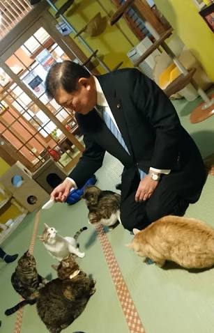 石破茂氏がアップした「ネコ写真」の波紋 「ありえない抱き方だ」との指摘も