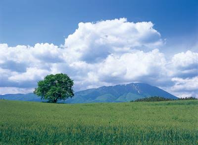 岩手県のおすすめ