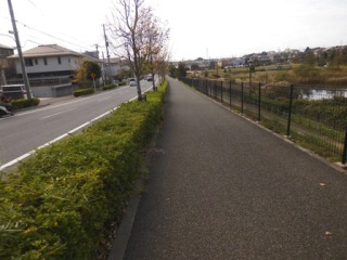 それ、私がやりました。(犯罪はダメよ)