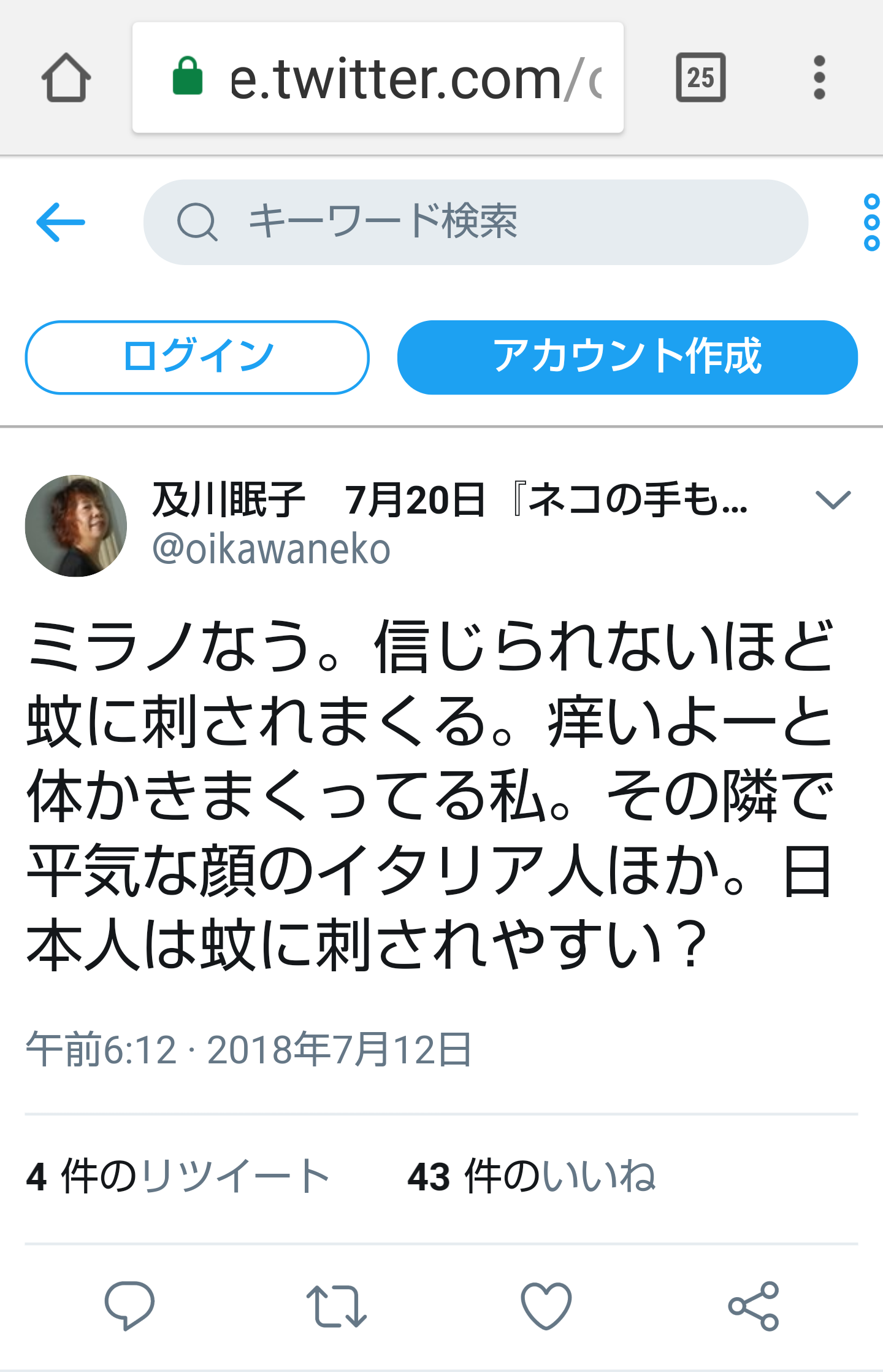 夏は帽子派ですか日傘派ですか?