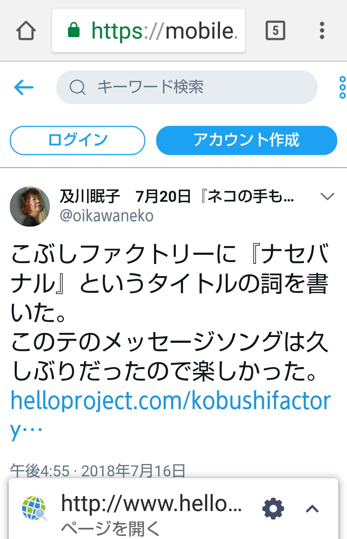 夏は帽子派ですか日傘派ですか?