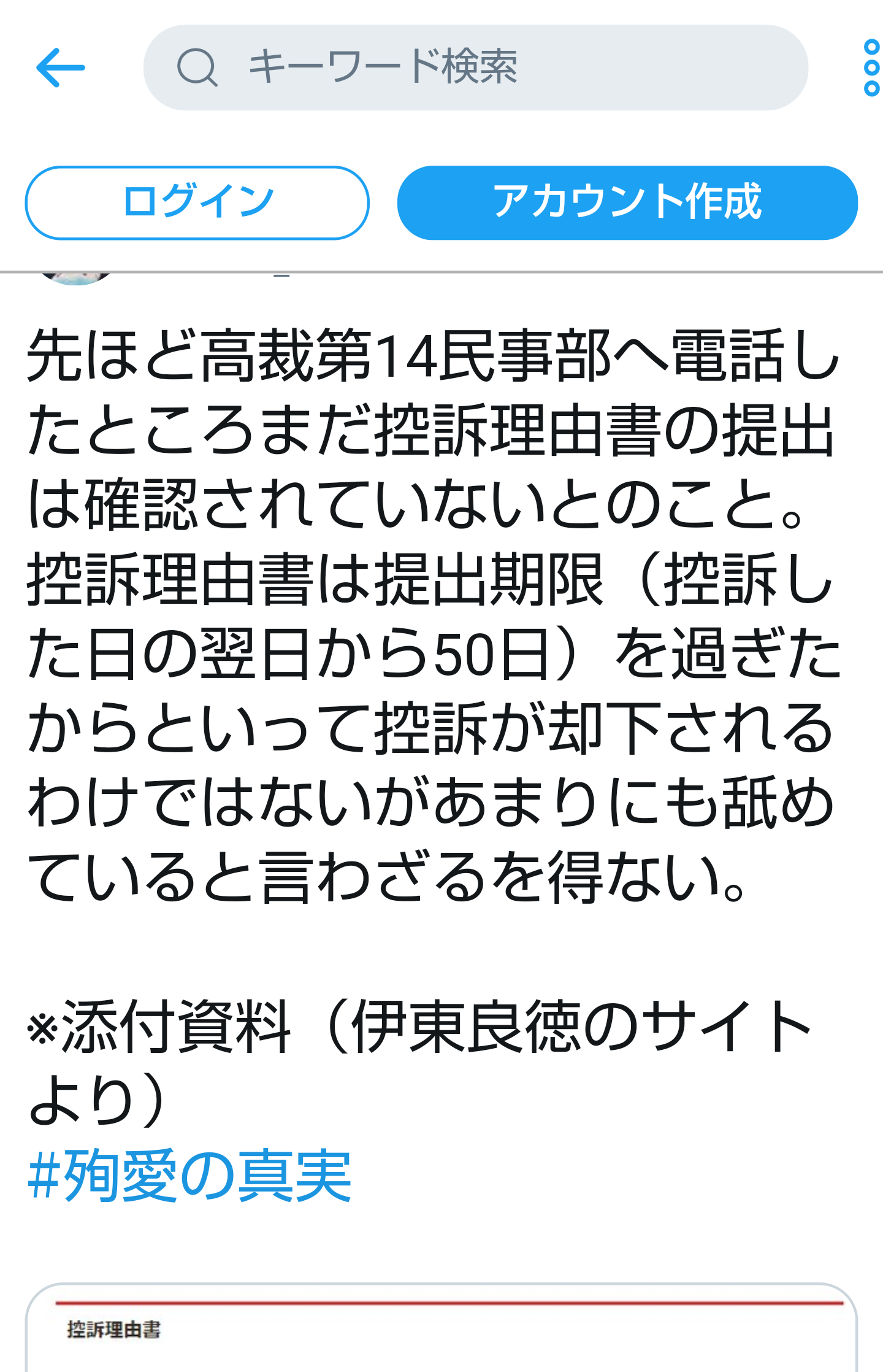夏は帽子派ですか日傘派ですか?