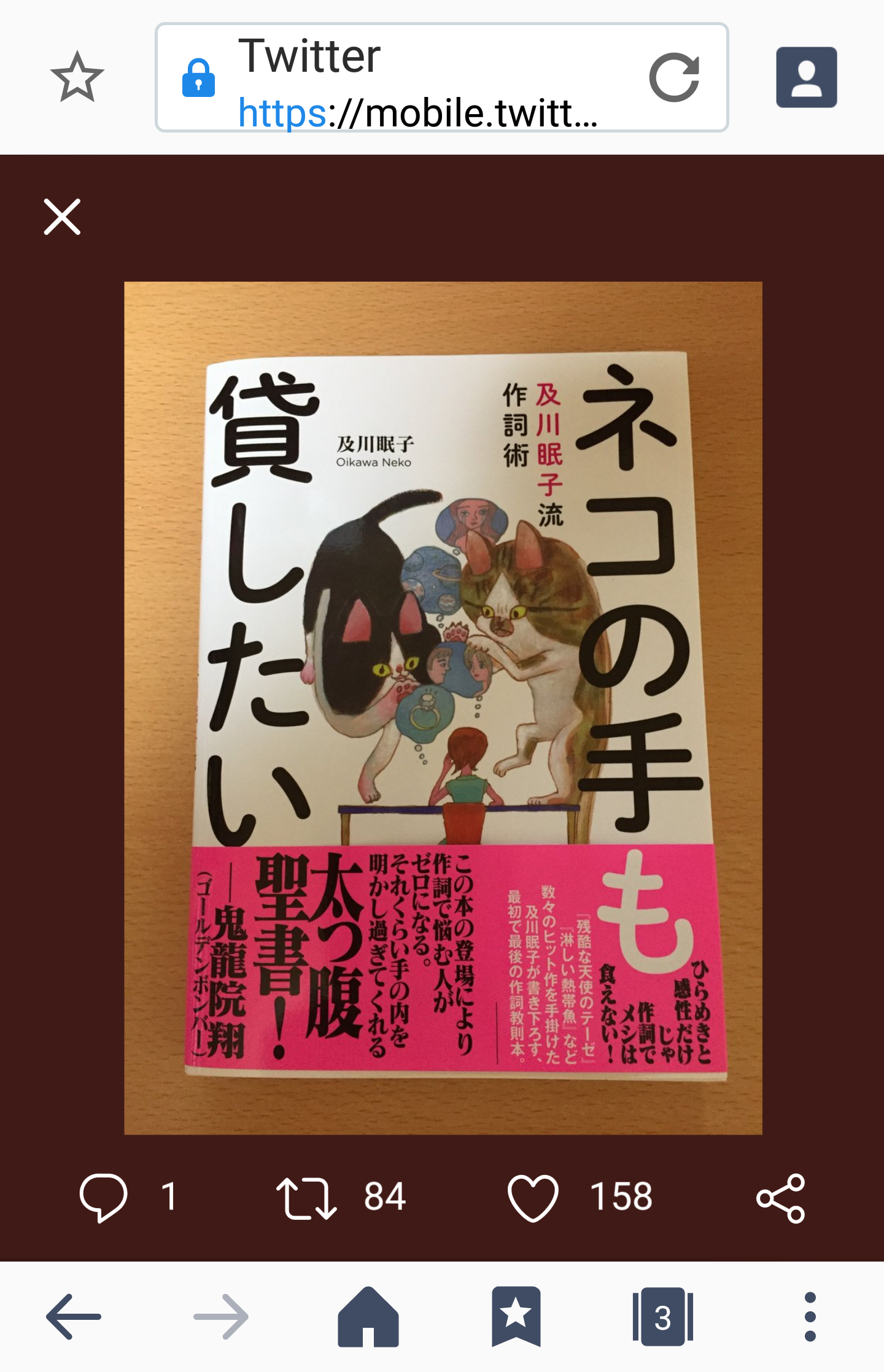 夏は帽子派ですか日傘派ですか？