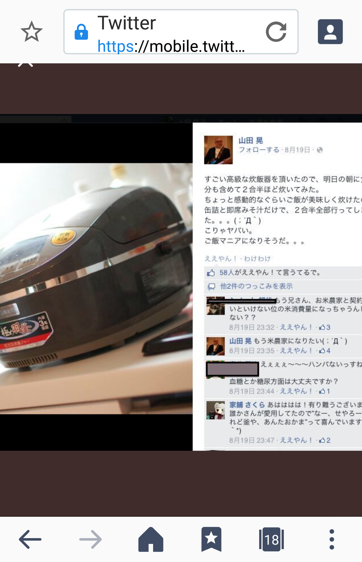 夏は帽子派ですか日傘派ですか？