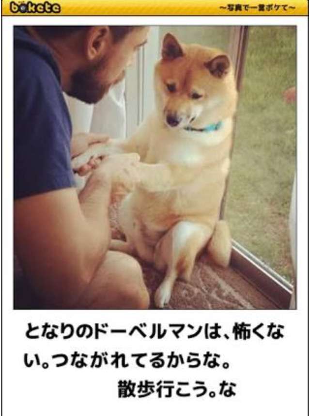 疑いだしたらキリがないけどちょっと心配なこと