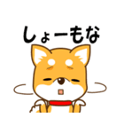 乃木坂46白石麻衣、全国ドームツアーのナゴヤ公演に出席へ