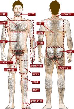 熊系男子が好き！