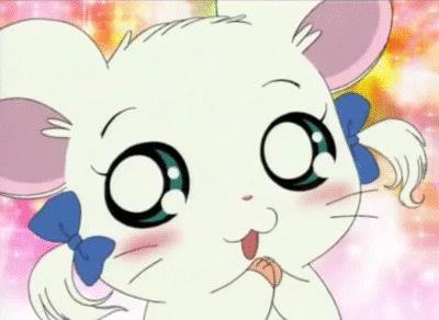 色々なハムスターが見たい