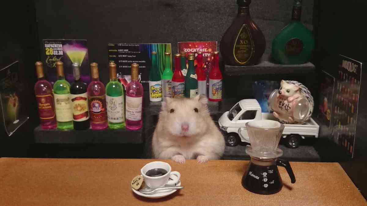 色々なハムスターが見たい