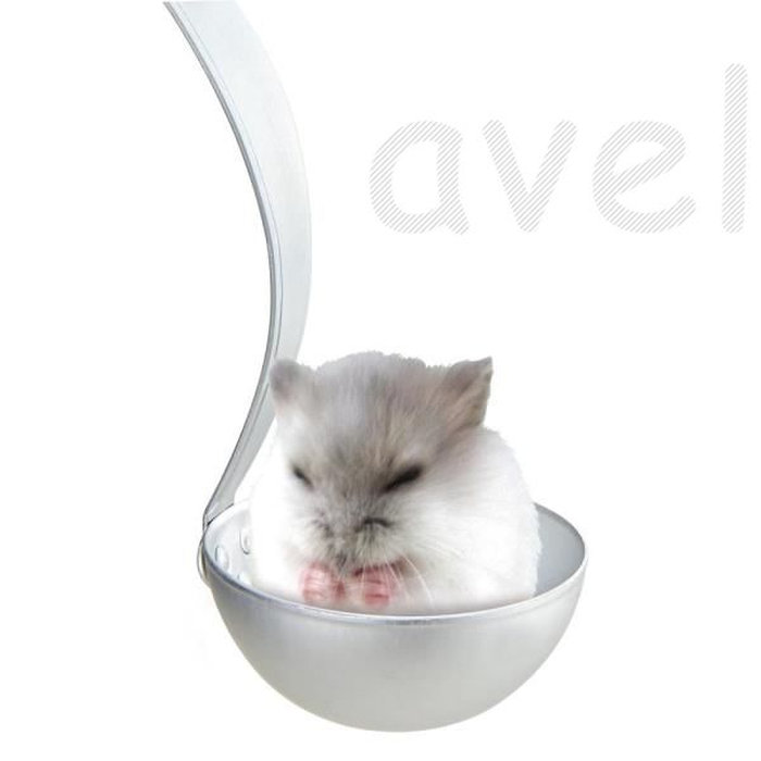 色々なハムスターが見たい