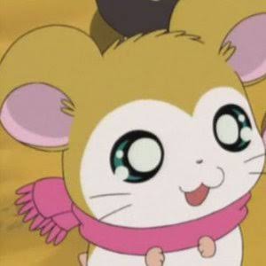 色々なハムスターが見たい