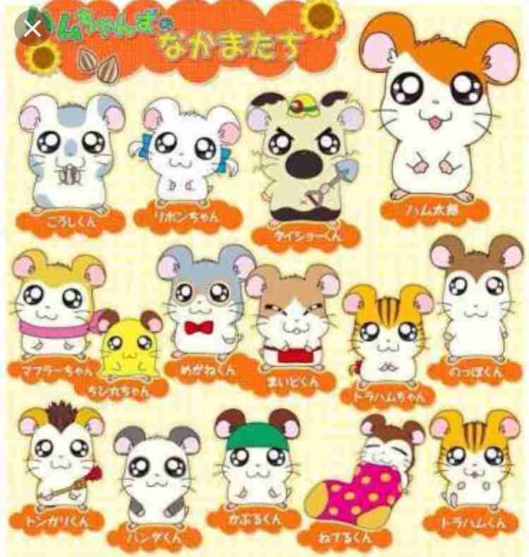 色々なハムスターが見たい