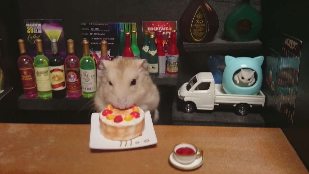 色々なハムスターが見たい