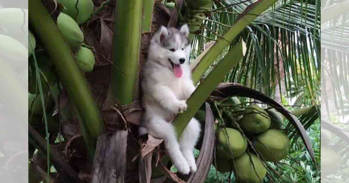 【画像】なぜそこに？