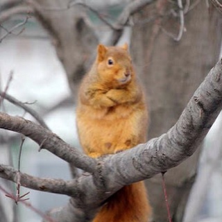 【画像】なぜそこに？