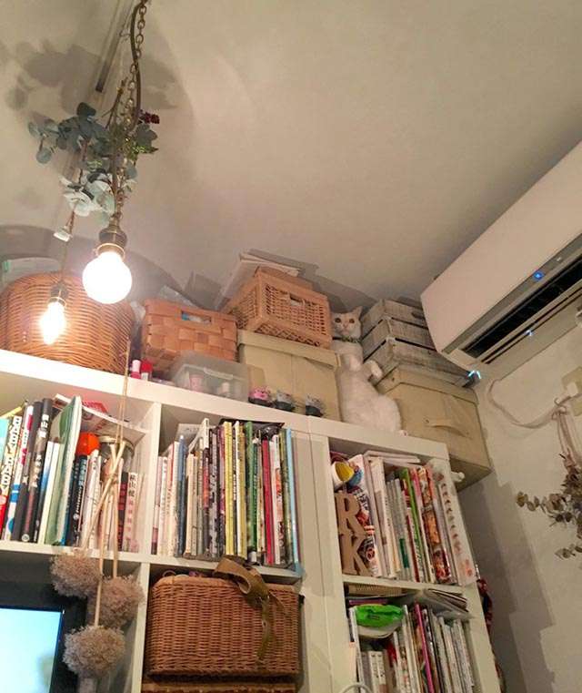 【画像】なぜそこに？