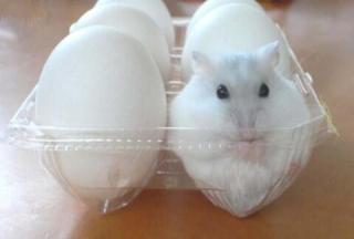 【画像】なぜそこに？