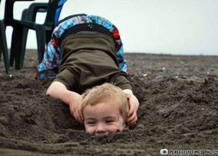 【画像】なぜそこに？