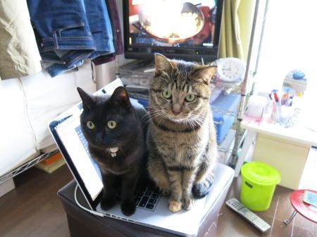 【画像】なぜそこに？