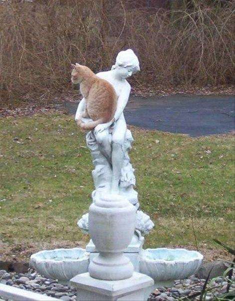 【画像】なぜそこに？