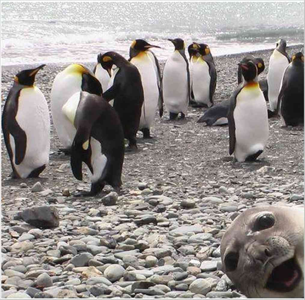 【画像】なぜそこに？