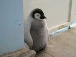 【画像】なぜそこに？