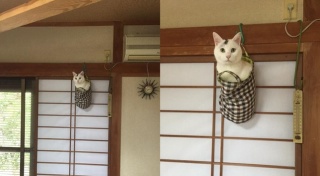 【画像】なぜそこに？