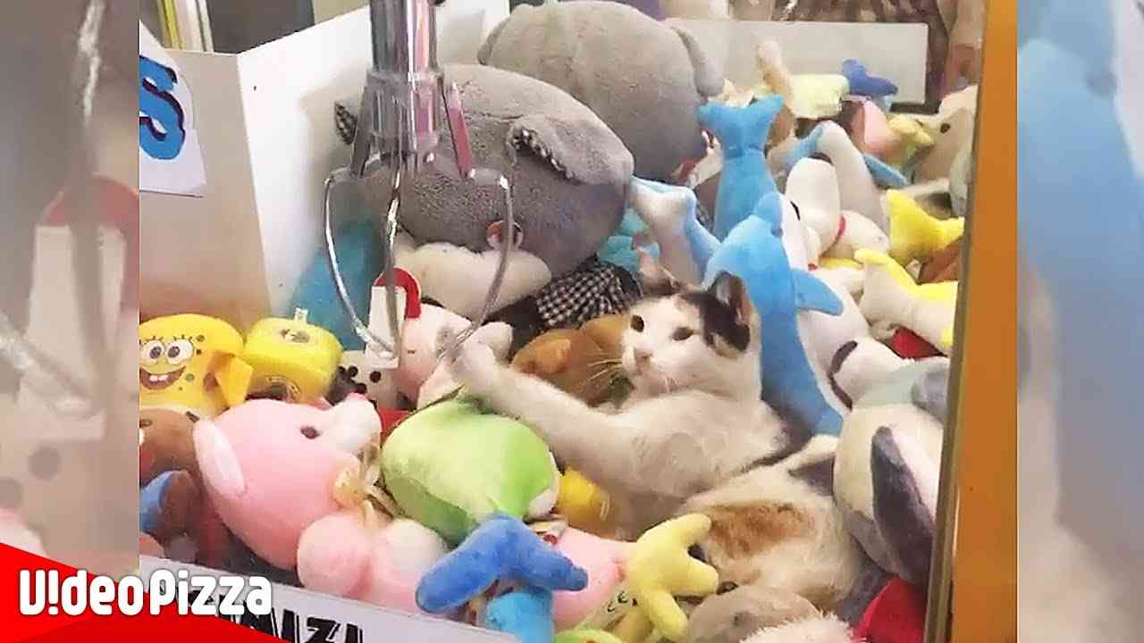 【画像】なぜそこに？