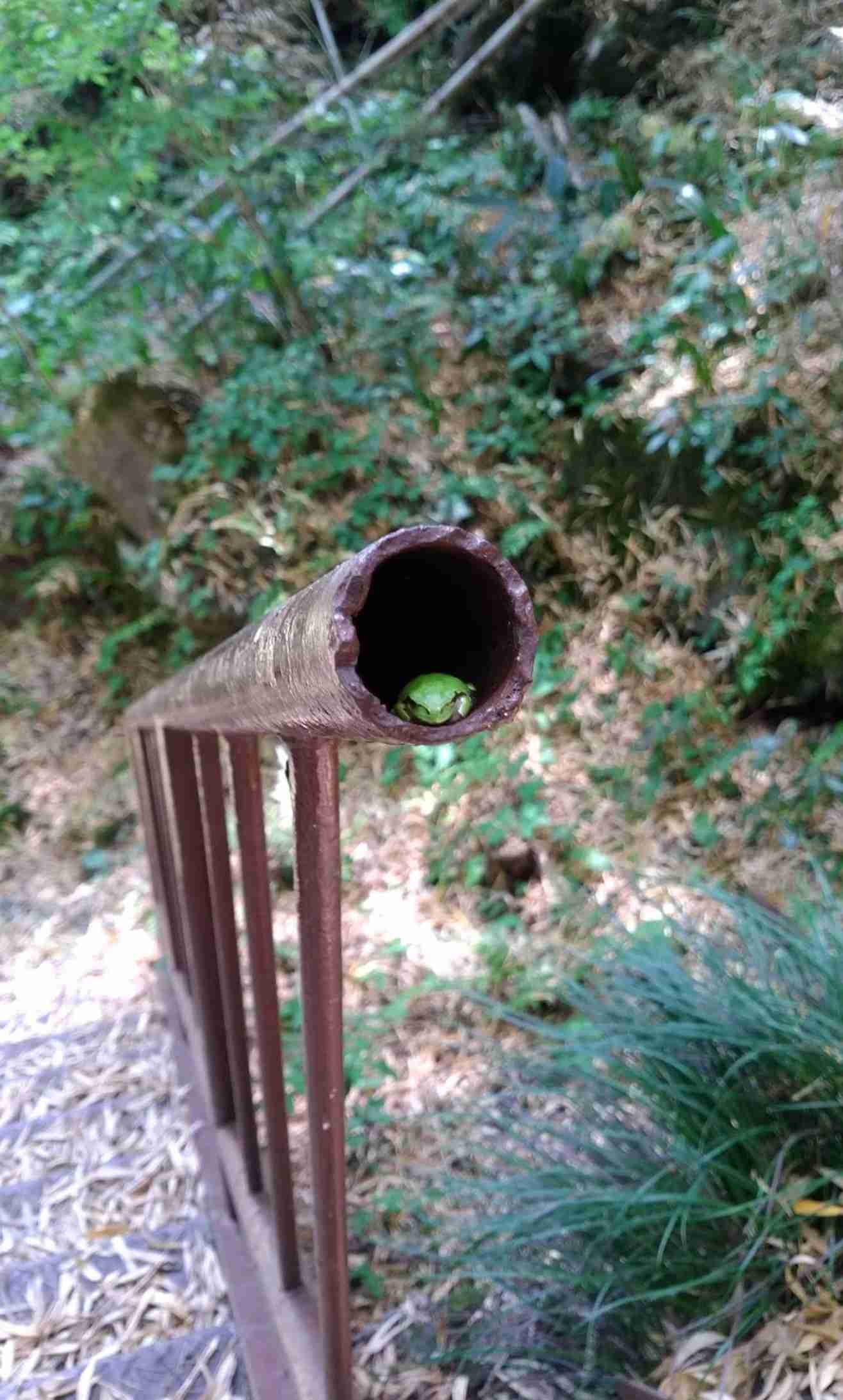 【画像】なぜそこに？