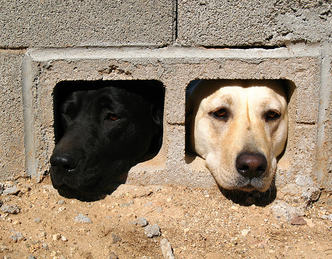 【画像】なぜそこに？