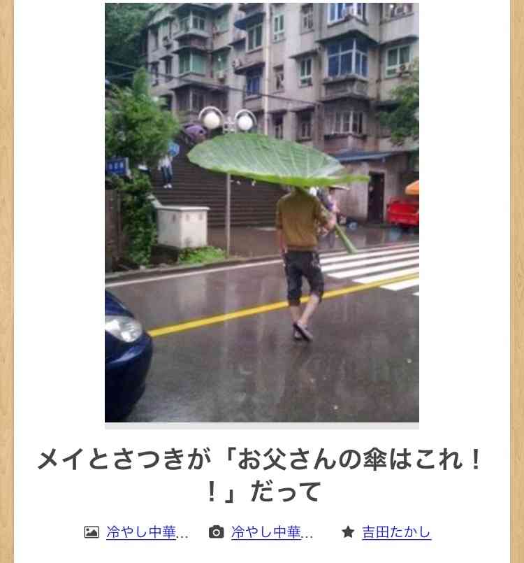 【限定】ジブリのboketeを集めよう