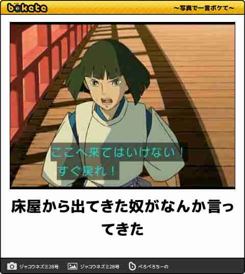 【限定】ジブリのboketeを集めよう