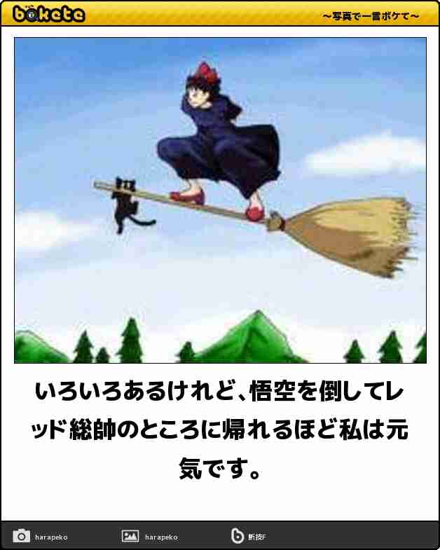 【限定】ジブリのboketeを集めよう