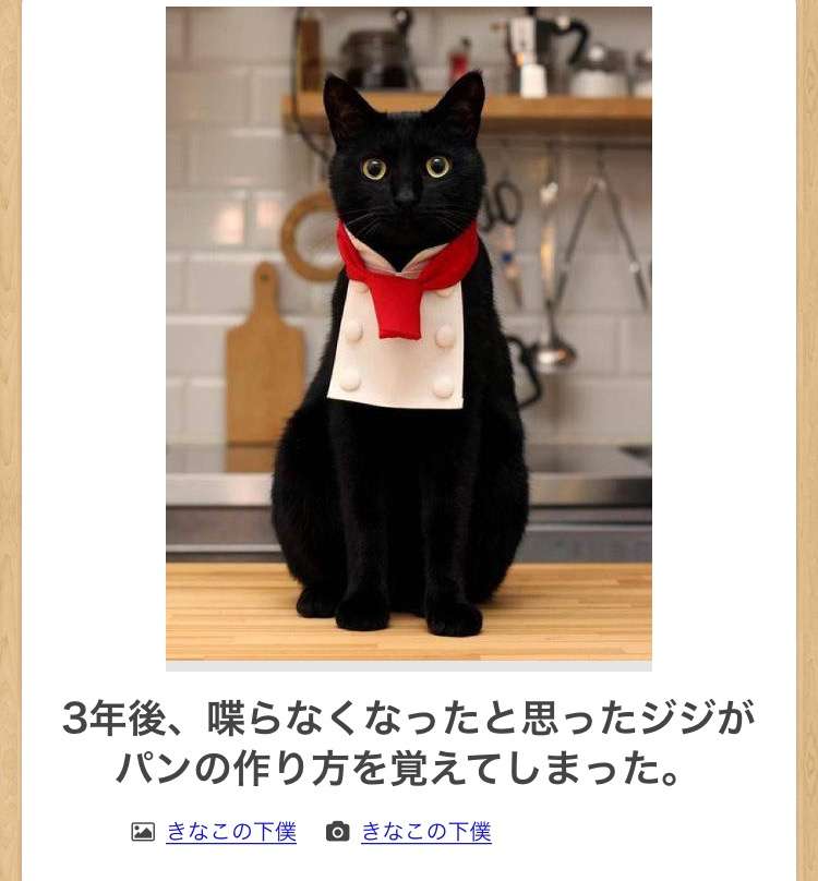 【限定】ジブリのboketeを集めよう