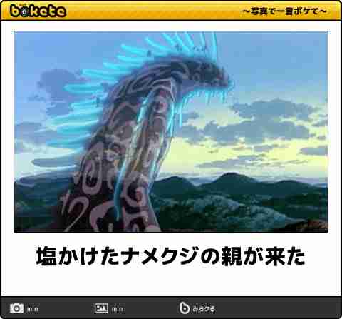 【限定】ジブリのboketeを集めよう