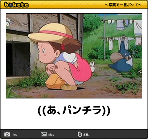 【限定】ジブリのboketeを集めよう