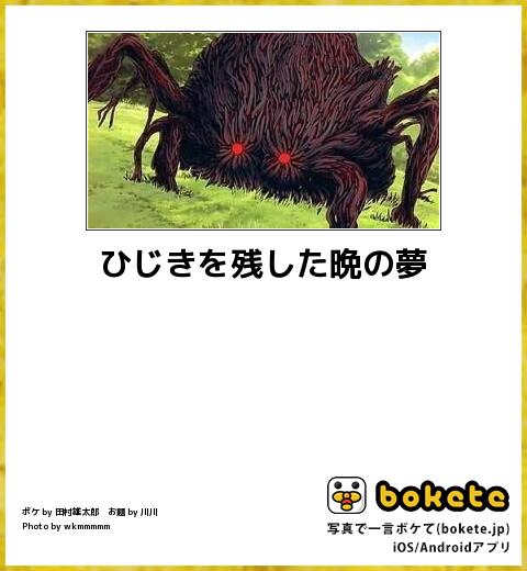 【限定】ジブリのboketeを集めよう