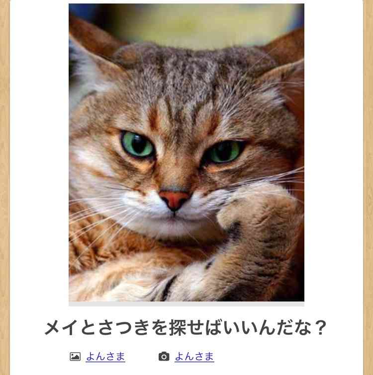 【限定】ジブリのboketeを集めよう