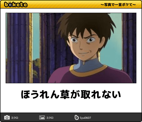 【限定】ジブリのboketeを集めよう