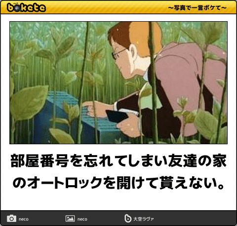 【限定】ジブリのboketeを集めよう