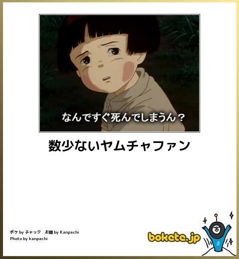 【限定】ジブリのboketeを集めよう