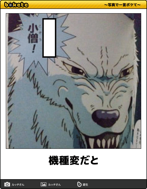 【限定】ジブリのboketeを集めよう