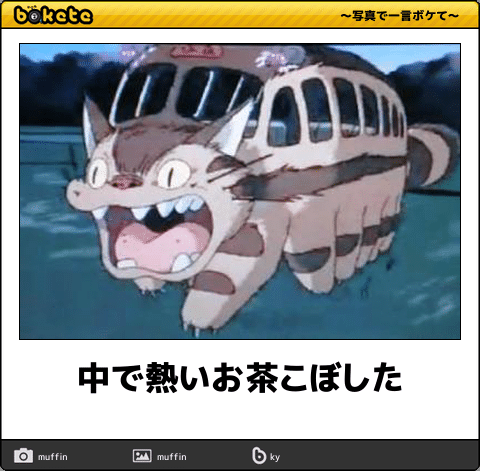 【限定】ジブリのboketeを集めよう