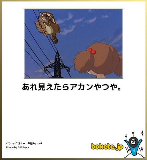 【限定】ジブリのboketeを集めよう