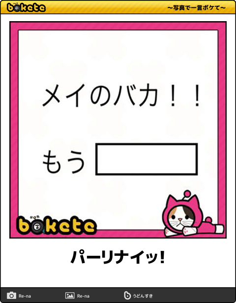 【限定】ジブリのboketeを集めよう