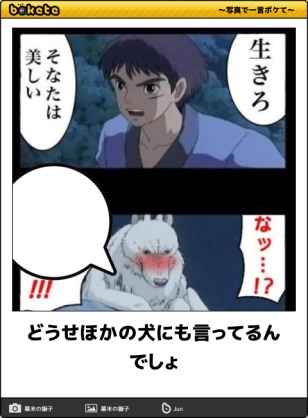 【限定】ジブリのboketeを集めよう