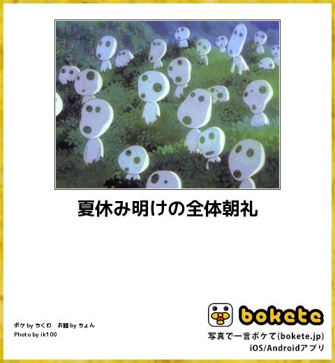 【限定】ジブリのboketeを集めよう