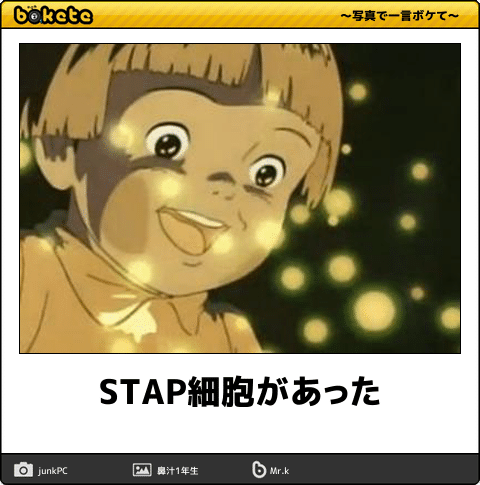【限定】ジブリのboketeを集めよう