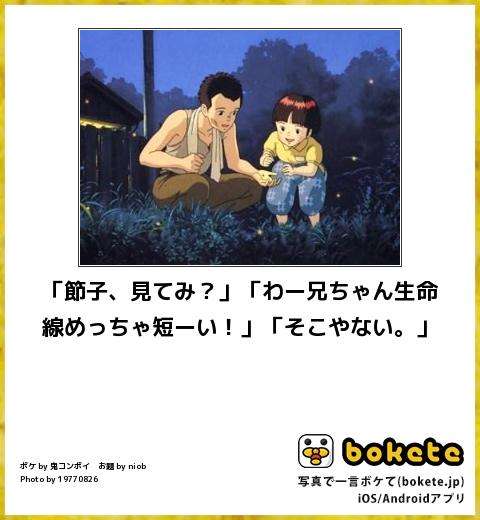 【限定】ジブリのboketeを集めよう